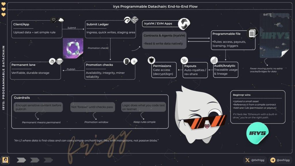 Irys Network: The Programmable Datachain Challenging Arweave with 100K TPS and 20x Cheaper Storage