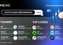Top Gainer & Top Losers Kripto di MEXC (28 November 2025)