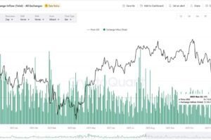 Exploring Onchain Data Analysis in Blockchain: Key Insights into Transparency, Security, and Transactions for Better Decision-Making by Investors and Institutions