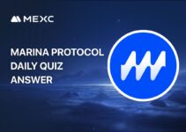 Marina Protocol Today Answer for November 9, 2025