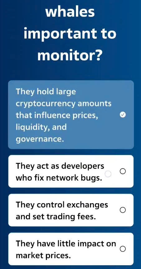 Spur Protocol Quiz Answers Today - November 11, 2025