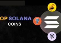 Top Altcoins hệ Solana đáng chú ý trước khi năm 2025 kết thúc Top Altcoins hệ Solana đáng chú ý trước khi năm 2025 kết thúc