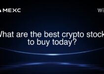 What are the best crypto stocks to buy today?