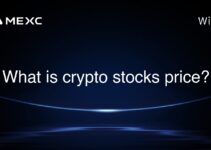 What is crypto stocks price? What is crypto stocks price?
