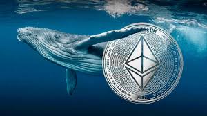 ETH Whales Buy $1.37B in 3 Days: Why Smart Money Accumulates Despite a 10% Drop