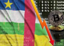 Central African Republic’s Opaque Crypto Projects Endanger National Wealth