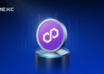 Why Polygon Is Becoming the Home for Onchain Payments Why Polygon Is Becoming the Home for Onchain Payments